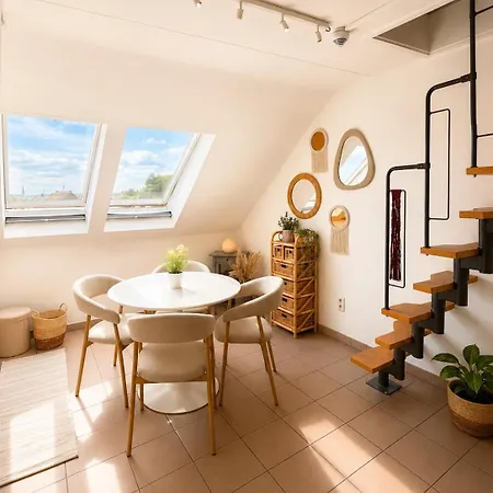 Cozy Duplex With Free Parking Apartment *