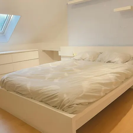 Cozy Duplex With Free Parking Apartment Leuven
